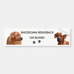 Autocollant De Voiture Rhodesian Ridgeback bumpersticker