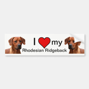 Autocollant De Voiture Rhodesian Ridgeback bumpersticker