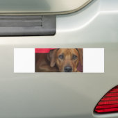 Autocollant De Voiture rhodésien (En voiture)