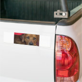 Autocollant De Voiture rhodésien (Sur camion)