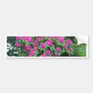 Autocollant De Voiture Rhododendron