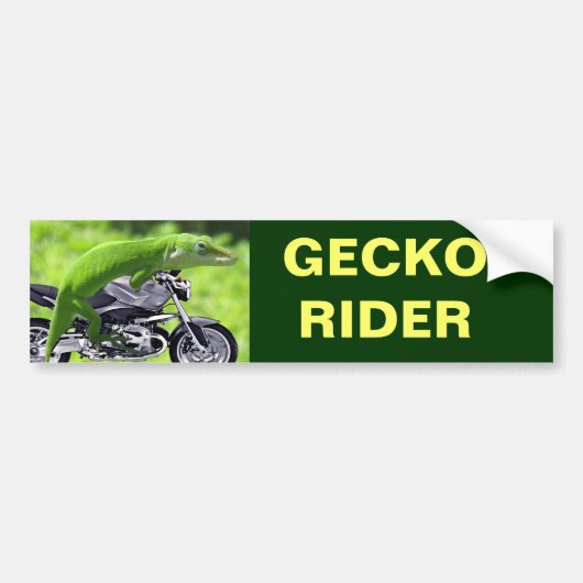 Autocollant De Voiture Rider Hawaiian Gecko (Devant)