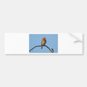 Autocollant De Voiture Robin
