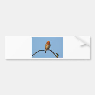 Autocollant De Voiture Robin