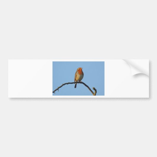 Autocollant De Voiture Robin (Devant)