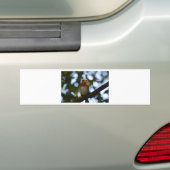 Autocollant De Voiture Robin (En voiture)
