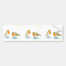 Robins rouges en hiver