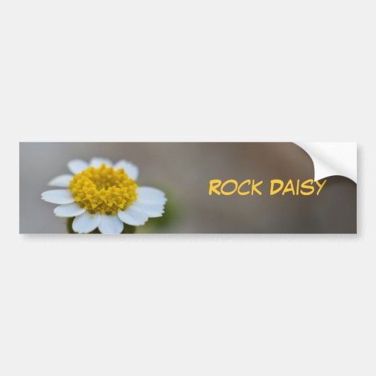 Autocollant De Voiture Rock Daisy (Devant)