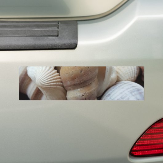 Autocollant De Voiture Romantique Tropical Exotic Sea Shells Plage Amour (En voiture)