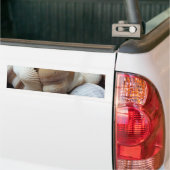 Autocollant De Voiture Romantique Tropical Exotic Sea Shells Plage Amour (Sur camion)