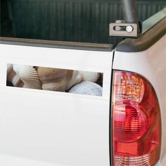 Autocollant De Voiture Romantique Tropical Exotic Sea Shells Plage Amour (Sur camion)