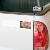 Autocollant De Voiture Rose (Sur camion)