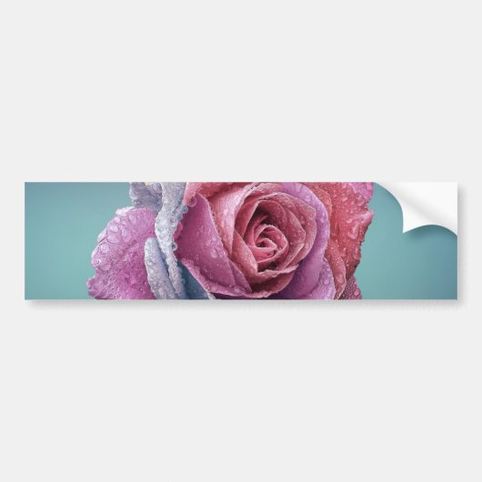 Autocollant De Voiture Rose multicolore (Devant)