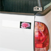 Autocollant De Voiture Rose rose rose (Sur camion)