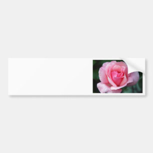 Autocollant De Voiture Rose rose rose