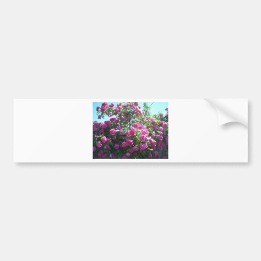 Autocollant De Voiture Roses (Devant)