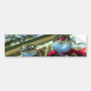 Autocollant De Voiture Roses sur Raindrops Bumper Sticker
