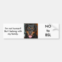 Rottweiler BSL