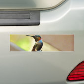 Autocollant De Voiture Ruby perché et petit colibri vert (En voiture)