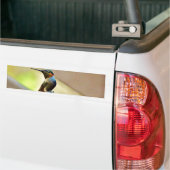 Autocollant De Voiture Ruby perché et petit colibri vert (Sur camion)