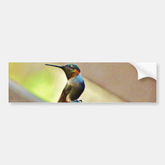 Autocollant De Voiture Ruby perché et petit colibri vert
