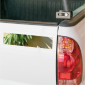 Autocollant De Voiture Sage frais coupé (Sur camion)