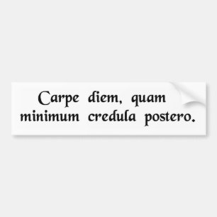 Autocollant De Voiture Saisissez le jour, confiance le moins possible