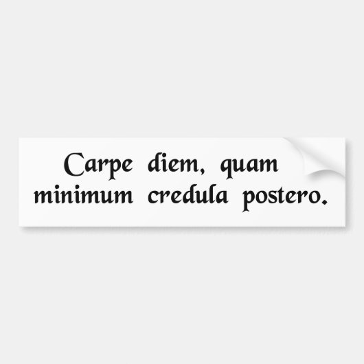 Autocollant De Voiture Saisissez le jour, confiance le moins possible (Devant)