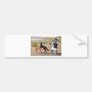 Autocollant De Voiture saluki