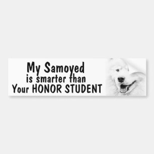 Autocollant De Voiture Samoyed plus futé que l'étudiant d'honneur - dr