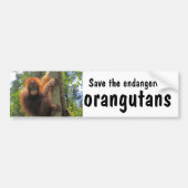 Autocollant De Voiture Sauvez les orangs-outans mis en danger (Devant)
