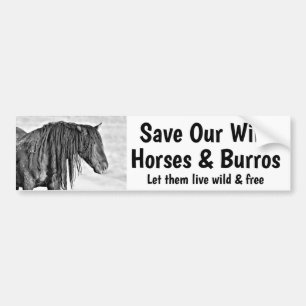 Autocollant De Voiture Save Our Wild Horses