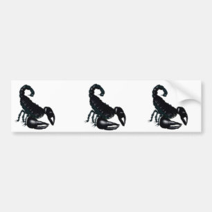Autocollant De Voiture Scorpion