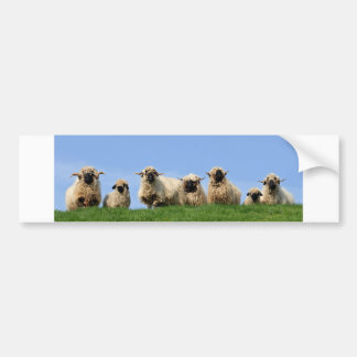 Autocollant De Voiture sept moutons curieux de rasta