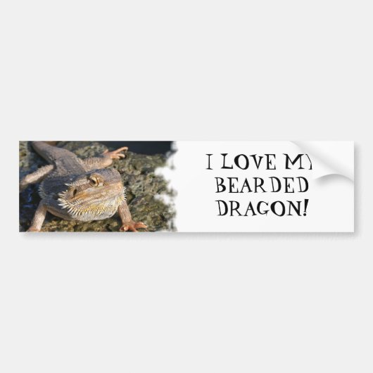 Autocollant De Voiture Série barbue de dragon (Devant)