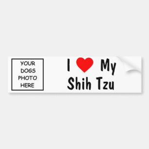 Autocollant De Voiture Shih Tzu