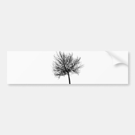 Autocollant De Voiture Silhouette de l'arbre (Devant)