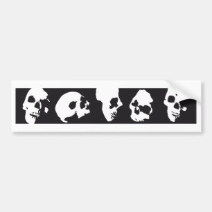 Autocollant De Voiture skull