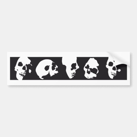 Autocollant De Voiture skull (Devant)
