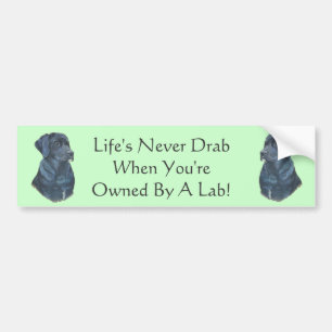 Autocollant De Voiture slogan original d'amusement de Labrador de