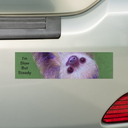 Autocollant De Voiture Sloth (En voiture)