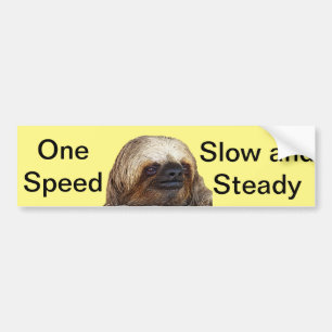 Autocollant De Voiture Sloth