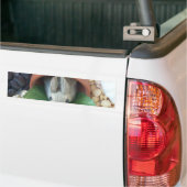 Autocollant De Voiture Snacking de lapin mignon (Sur camion)