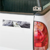 AUTOCOLLANT DE VOITURE SOLITAIRE ET SEUL (Sur camion)