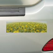 Autocollant De Voiture Soyez unique (En voiture)