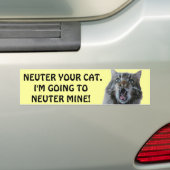 Autocollant De Voiture Spay et Neuter ton chat. Kitty choqué (En voiture)