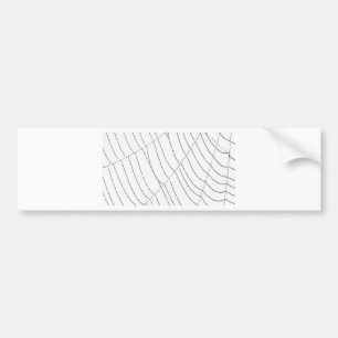 Autocollant De Voiture Spider Web