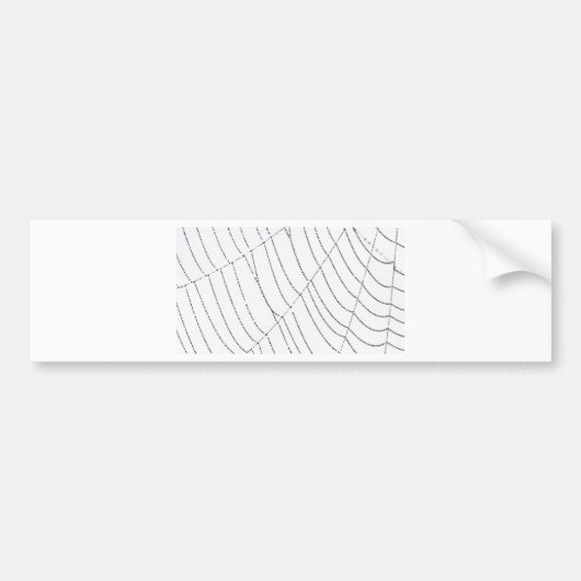 Autocollant De Voiture Spider Web (Devant)