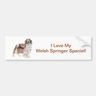 Autocollant De Voiture Springer spaniel de Gallois