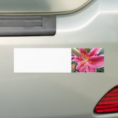 Autocollant De Voiture Stargazer (En voiture)